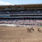 Calgary Stampede rodeo grandstand